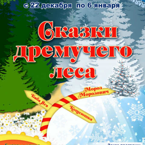 Подарим детям праздник: новогоднее программа "Сказки дремучего леса" во Дворце творчества детей и молодежи г. Томска